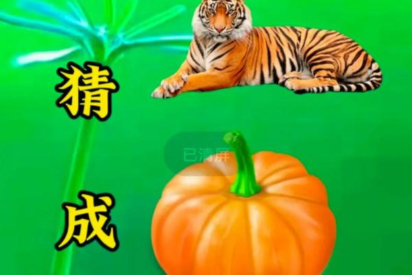 满面红光打一生肖是什么，着个成语代表哪个动物？