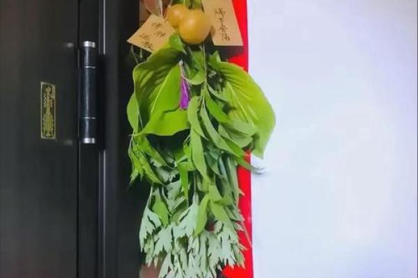 照片应该挂在家里什么位置 照片挂哪里有什么讲究
