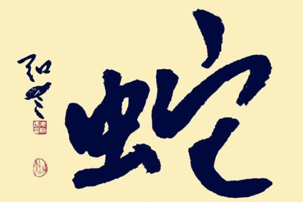 想要了解弱肉强食法则对应到生肖文化里的具体象征和寓意