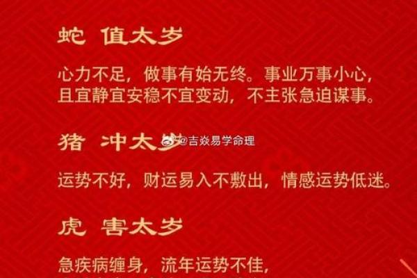 1984年出生的鼠2025年事业财运如何破解太岁