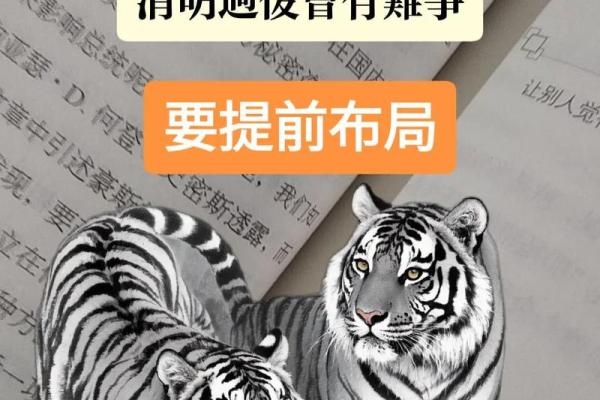 ‌打虎牢龙典故打一生肖：‌ 虎