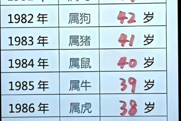 近几年的生肖 零二年属什么生肖