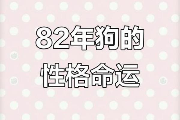 1982年属狗女2025年运势详解全年运程完整版婚姻事业健康财运