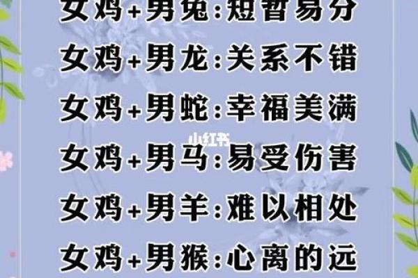 1994年属相最佳婚配 1994年婚姻最配属相