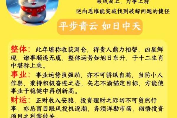 属鼠的人2025年佩戴什么饰物可以提升运势
