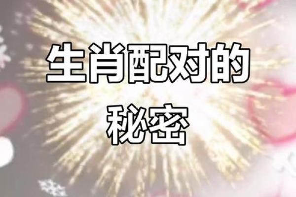 老鼠兔子属相合不合 老鼠和兔子属相合吗