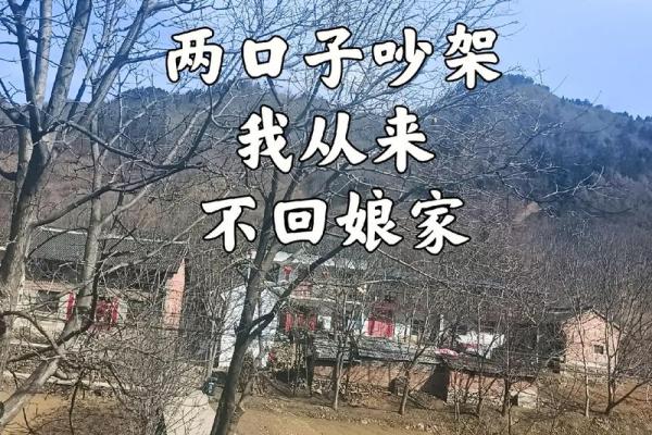 个娘家我回定了 个娘家我回定了1到100集