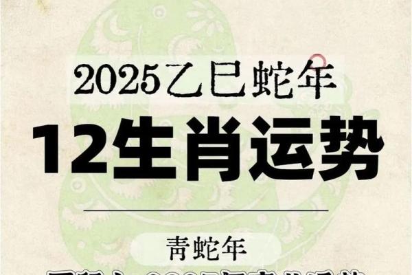 1984年属鼠人2025年运势详解及每月运程完整版