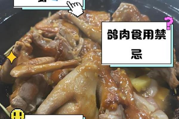 信鸽能吃吗会不会不吉利 信鸽能吃什么食物