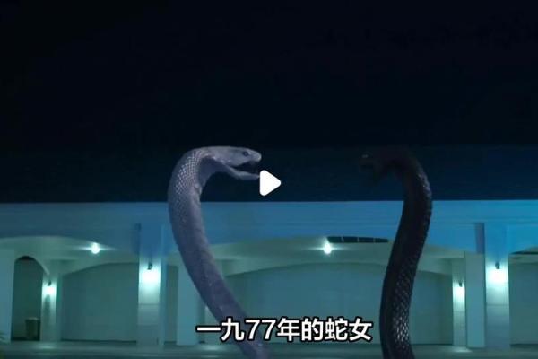 77年女蛇最佳婚配属相 77年蛇女与什么属相男相配吗
