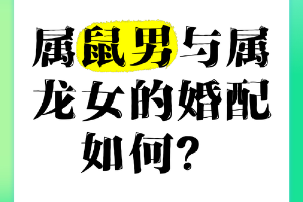 1996年属鼠的男生和什么属相最配？完整婚配表解析