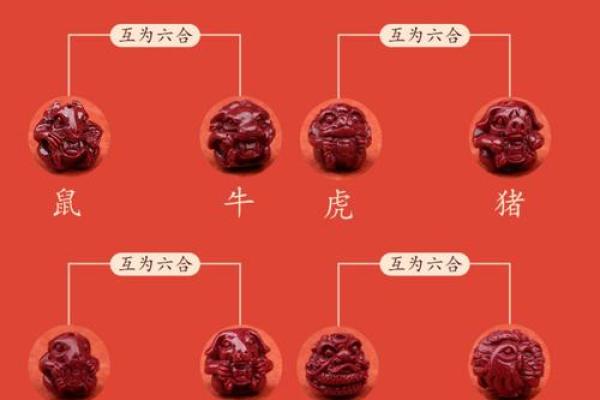 属龙人可以带朱砂吗 属龙可以佩戴朱雀吗