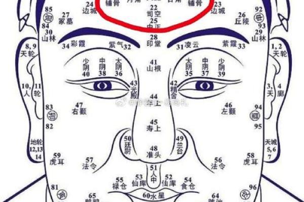 倒眉毛属于什么面相 倒眉毛属于什么面相啊