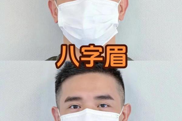 倒眉毛属于什么面相 倒眉毛属于什么面相啊