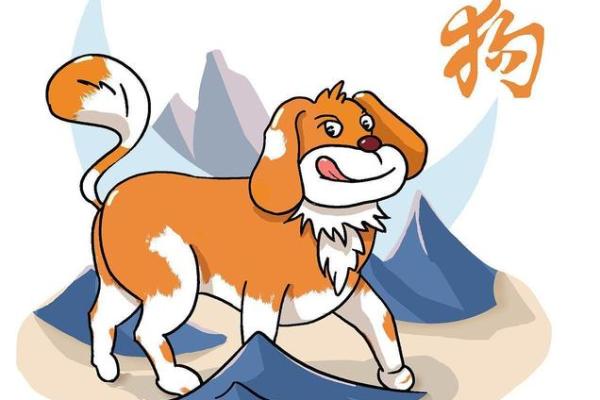 半途而废的三大生肖 半途而废的是什么动物