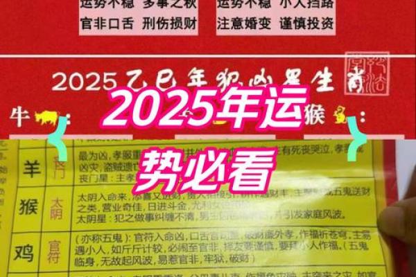 26年是什么属相 今年的运相是什么属相