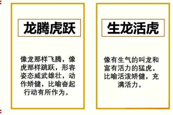 生龙活虎三大生肖 生龙活虎三大生肖是谁