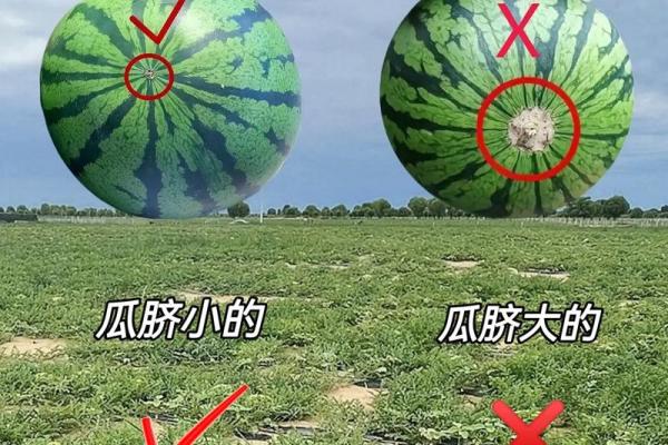送人西瓜为什么不吉利 送人西瓜为什么不吉利呀