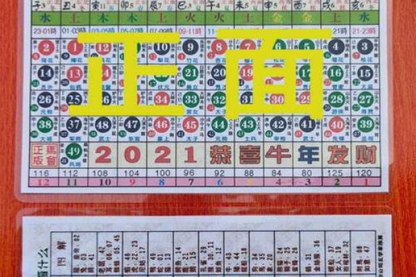 49年属什么生肖,是什么命 49年是属什么生肖的
