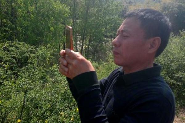 ‌刀枪不入打一准确生肖 → 牛（牛皮厚，刀枪不入）‌