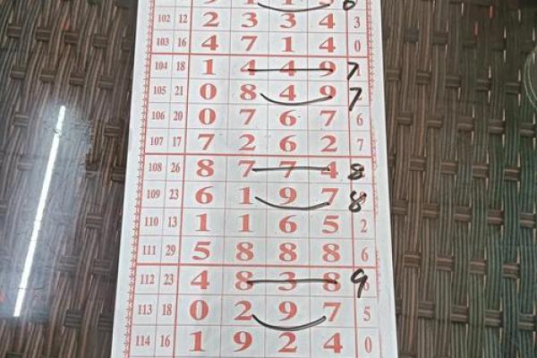 草蛇灰线打一生肖(草蛇灰线打一生肖数字)