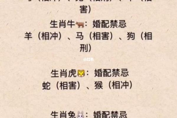 海说神聊是什么生肖