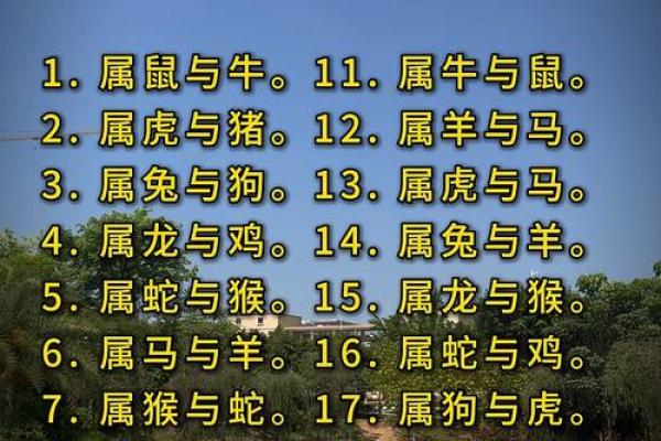 夫妻生肖配对最佳 夫妻生肖配对最佳还是时辰最佳
