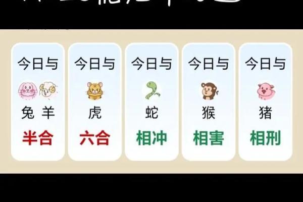 今天是哪个生肖 今天是哪个生肖的好运