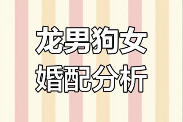 男龙女猴的属相合不合 男龙女猴属相婚姻怎么样