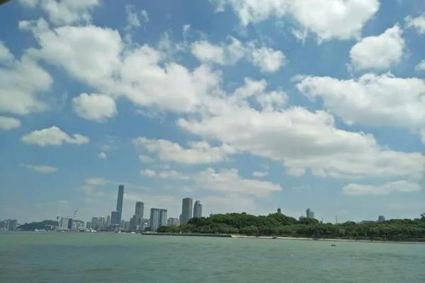‌千姿百态打一生肖 → 孔雀‌（雀屏百态，千娇竞开）