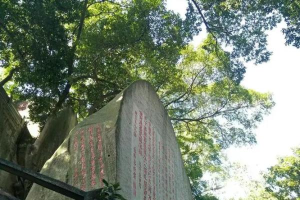 ‌千姿百态打一生肖 → 孔雀‌（雀屏百态，千娇竞开）