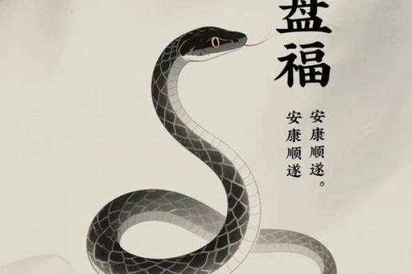 今年属蛇为啥不能上坟 属蛇的今年可以去扫墓吗