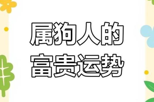 82年属狗大忌颜色 82年属狗的什么颜色最吉利