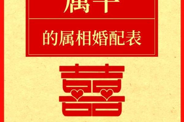 2002年属什么生肖的最佳配偶 1995年属什么生肖配对最好