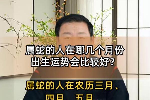 属蛇的几月份出生比较好 属蛇人出生几月份最好