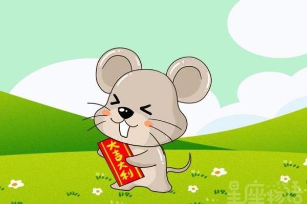 属鼠最忌三种颜色 属鼠一生最旺的颜色