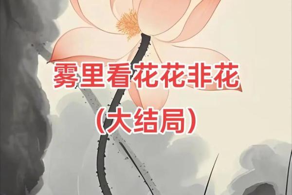 雾里看花是什么生肖(雾里看花是什么生肖动物)