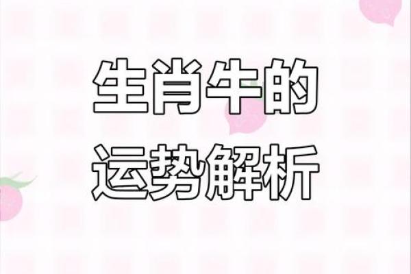 70后属牛是哪一年 70后的属牛的人现在多大了