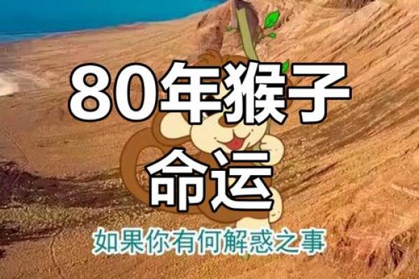 1980年属猴男二婚在哪一年 1980年属猴男二婚在哪一年结婚好