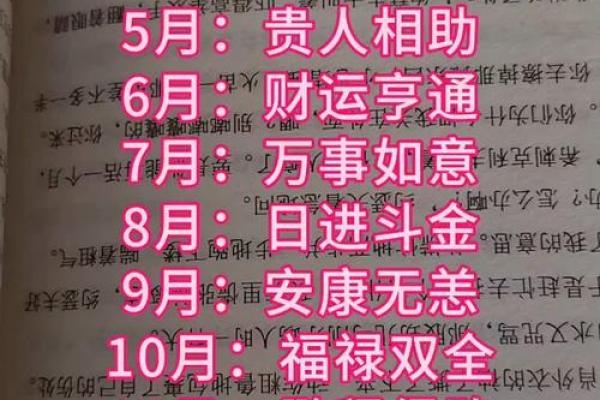 2025年属狗人全年运势详解及每月运程完整版