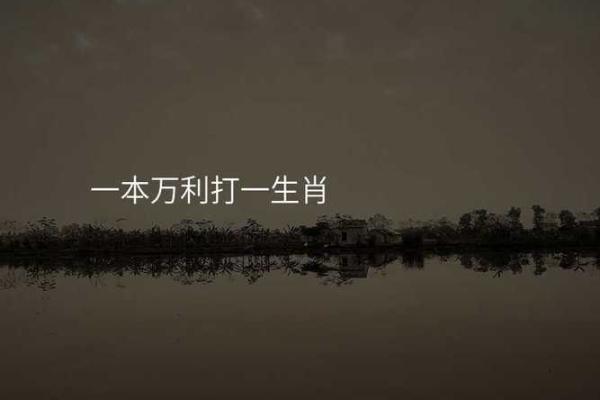 二话没说打一生肖
