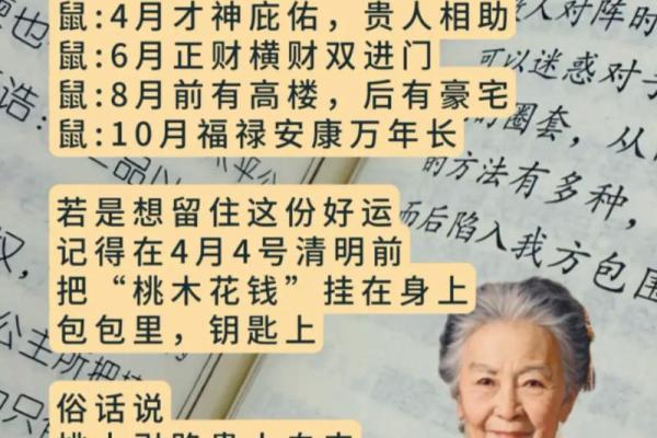 84年属鼠的女性婚姻运势如何，哪一年容易有离婚危机？