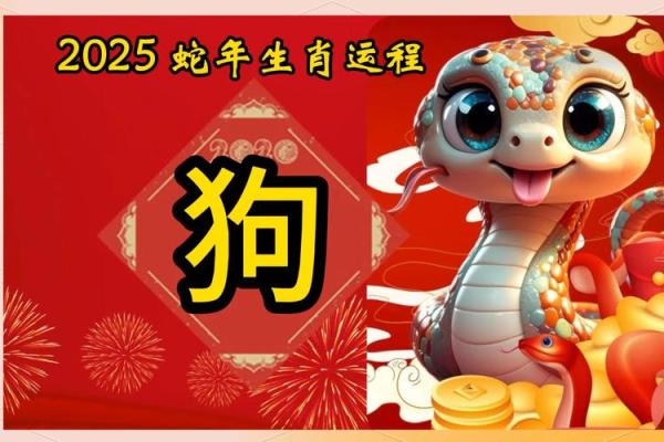 生肖狗2025年整体运势如何？事业财运和健康方面需要特别注意什么？