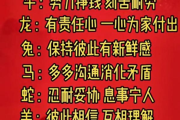 厉行节约代表什么生肖？解读十二生肖中勤俭持家的动物象征