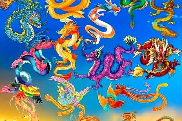 龙与免的属相合不合 龙和免可以在一起吗