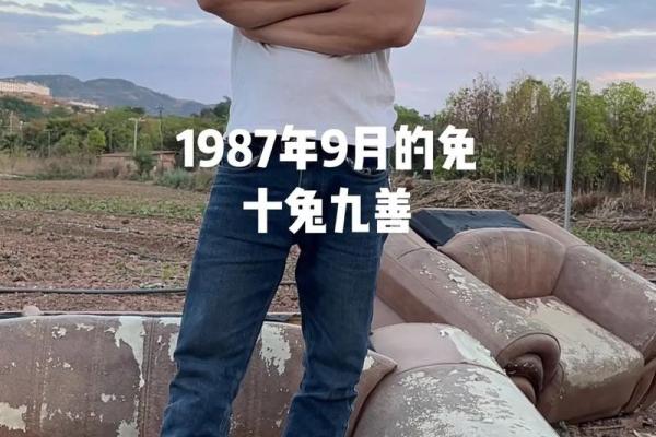 1987属兔男最佳配偶属相 1987年属兔男最佳配偶