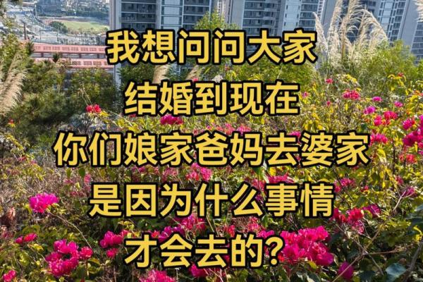 老公出国回娘家和父亲 老公出国回娘家和父亲怎么说