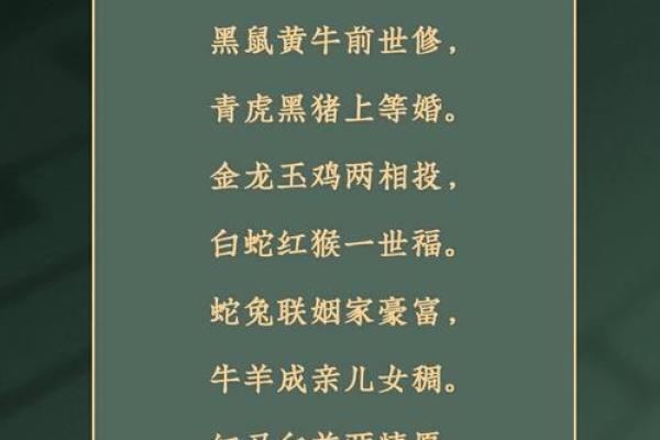 女狗男鼠属相合不合 女狗男鼠属相合不合婚