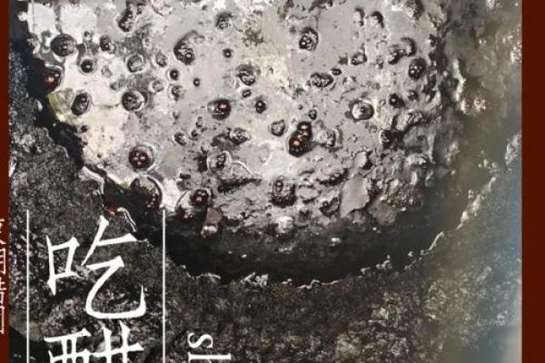 添油加醋打一最佳生肖