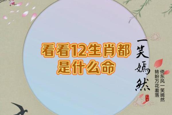 红颜薄命的生肖是什么生肖